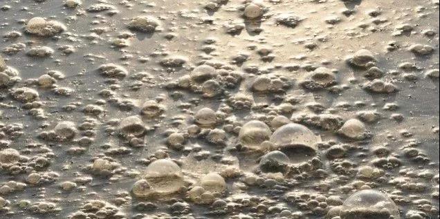 污水廠內的生物氣溶膠,污水從業(yè)人員必讀- 污水廠內的生物氣溶膠,污水從業(yè)人員必讀-